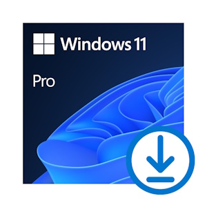 Microsoft Windows 11 Pro 64bit, ESD (multilingual, PC) 